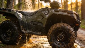 Cleaning, Detailing & Preservation