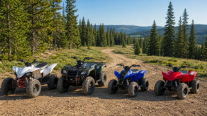 What Are the Different Types of ATVs? A Beginner’s Guide shown through a realistic ATV riding scene
